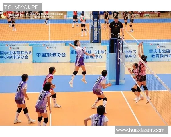 南京排球队与北京排球队赛后战术分析与复盘探讨
